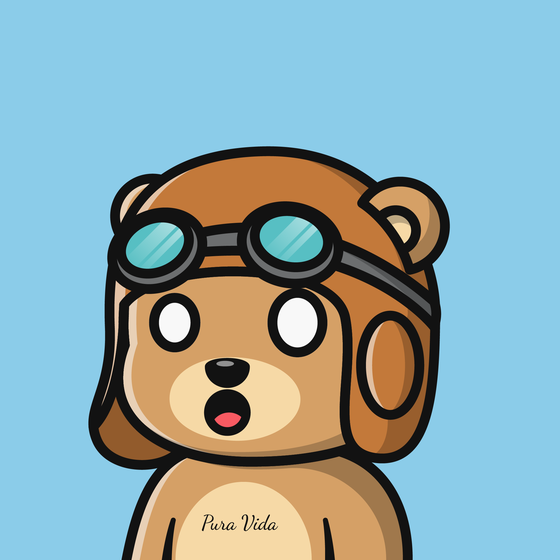 Summer Bear #2058