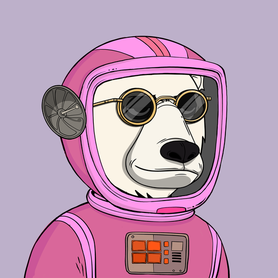 Okay Space Bear #1816