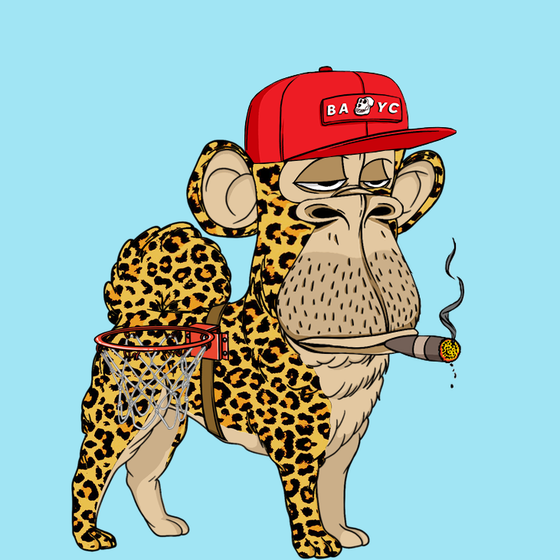 Kennel Ape #5619