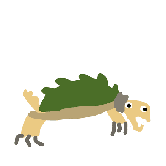 Snapping Turtle