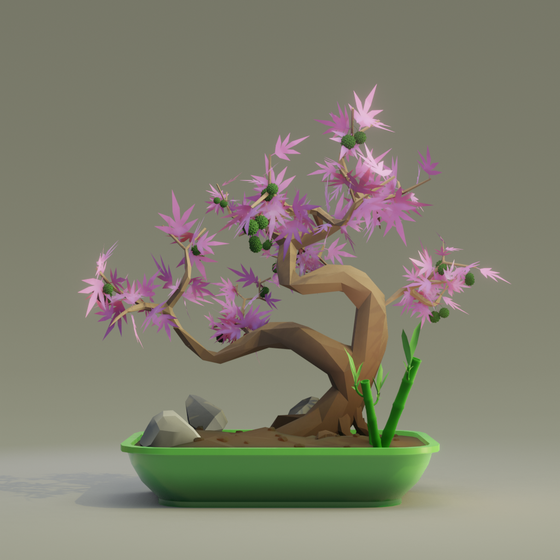 Bonsai #6776