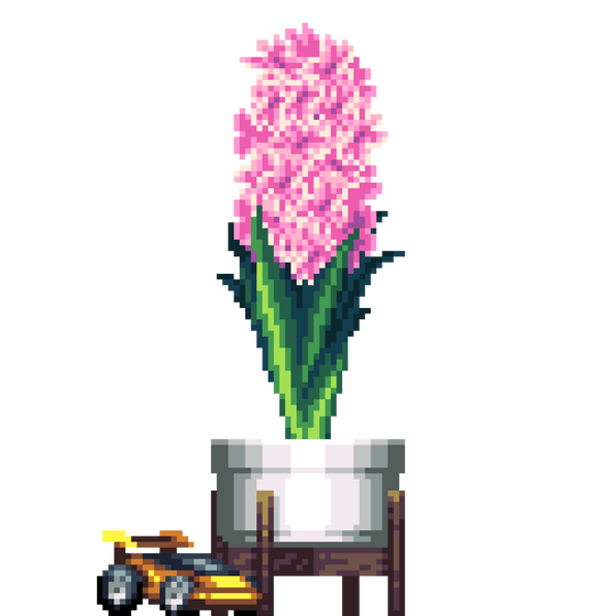 Pink Hyacinth in Elevated Wood pot with Toy Car