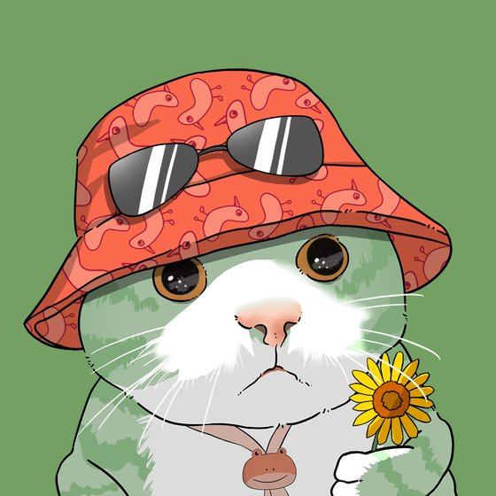 Puzzled cat #7910