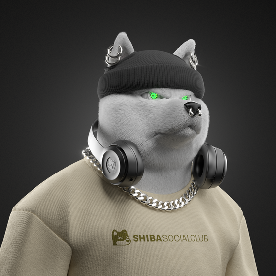 Shiba #5239