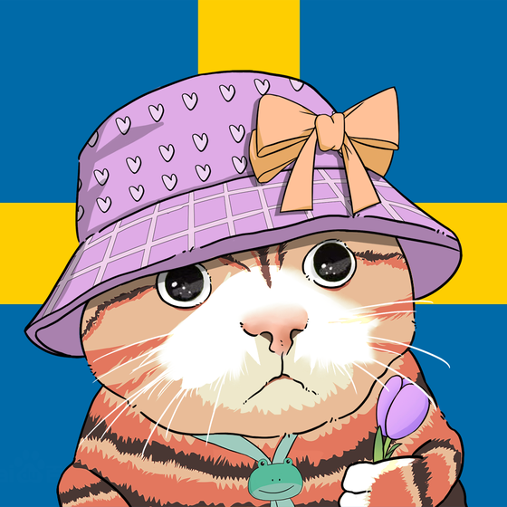 Puzzled cat #5128