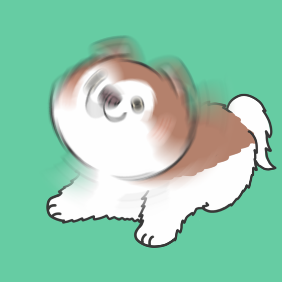 DogDrill#998