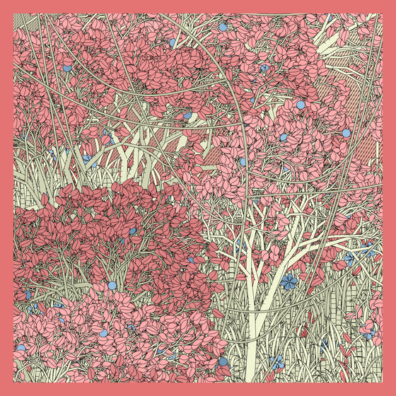 Entangled #425