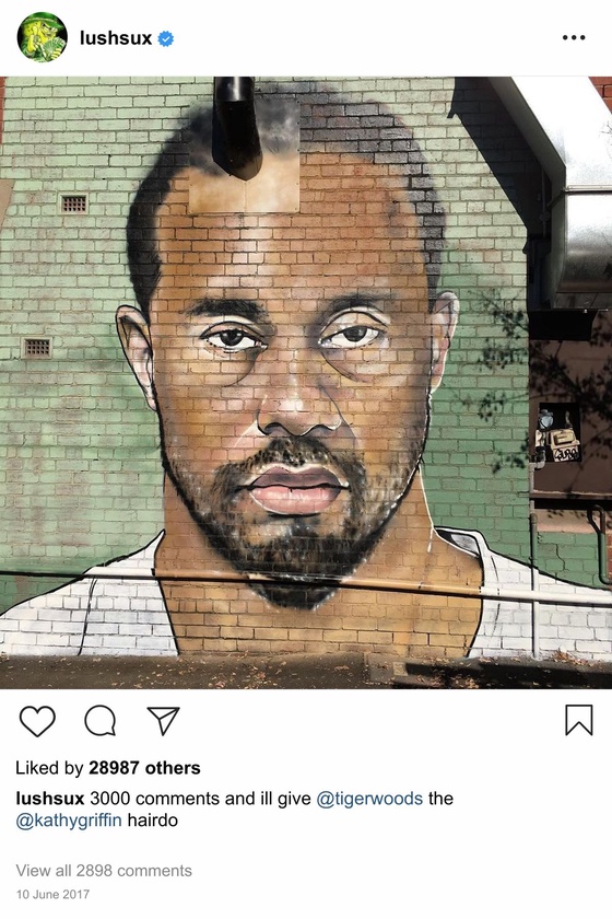 Lushsux #2664 - Mural Tiger Woods