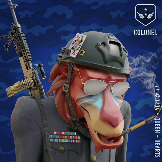 Surprised Red Colonel Baboon #204