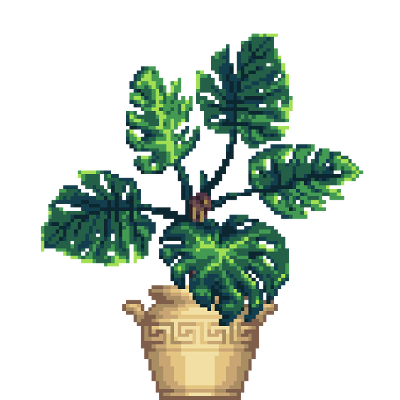 Monstera in Greek Vase pot