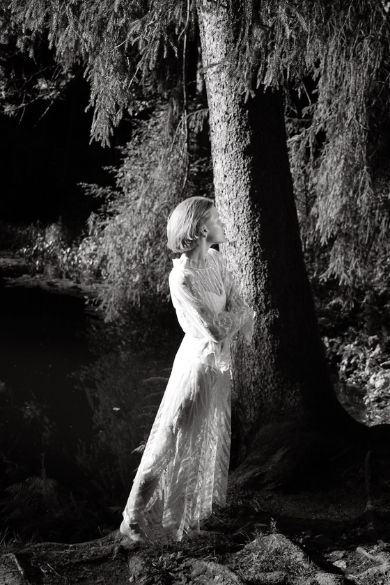 MYSTERIOUS FOREST #4