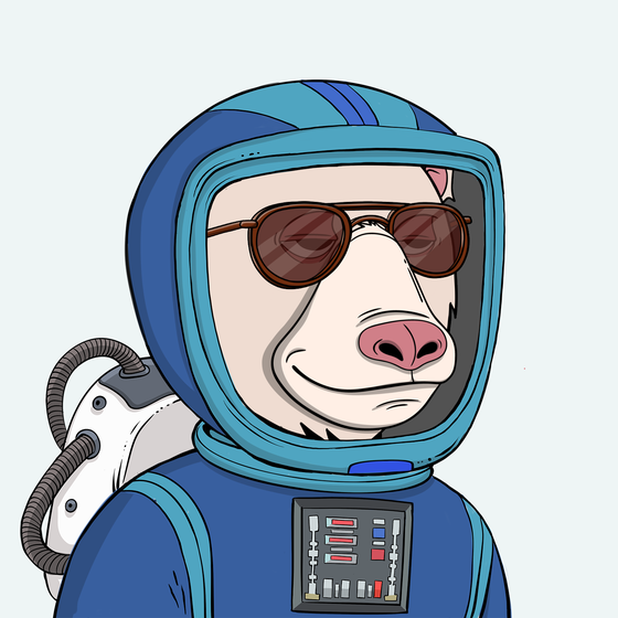 Okay Space Bear #4996