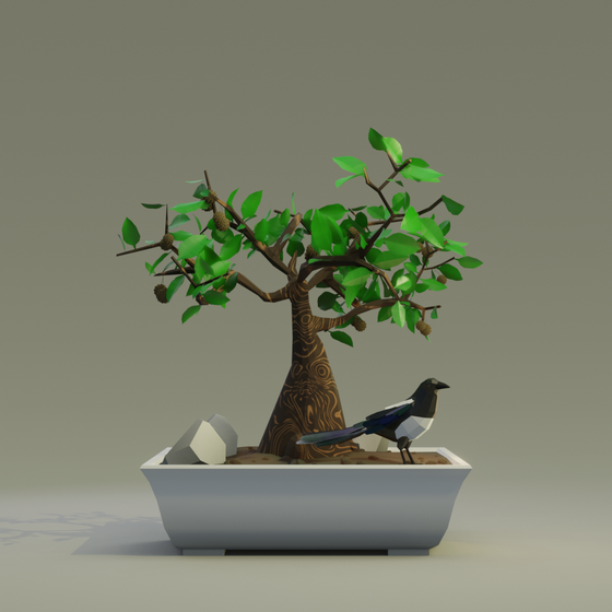 Bonsai #5735