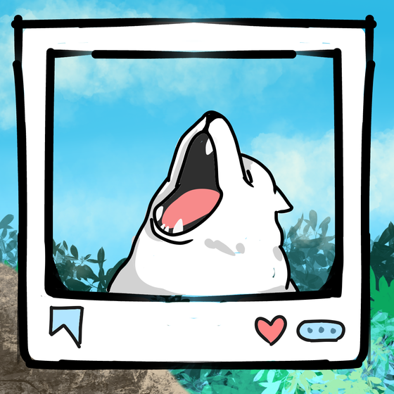 旅する犬 #667