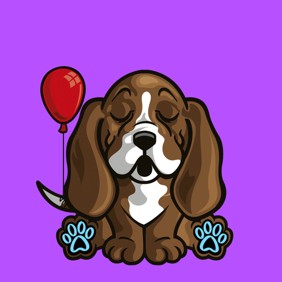 Basset Hound 0393