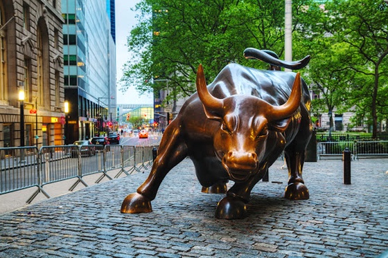 Charging bull