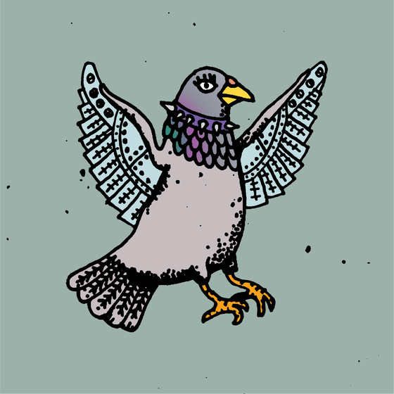 Hood Pigeon #2807