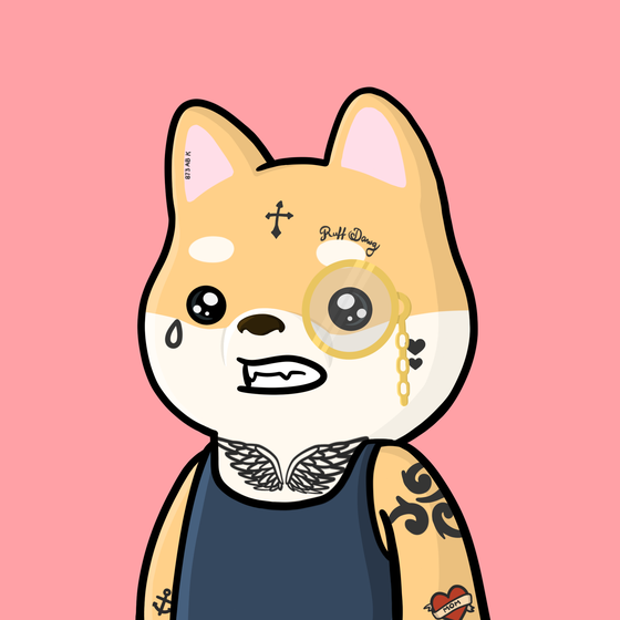 Shibe #2342