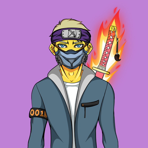 Ninja #2971