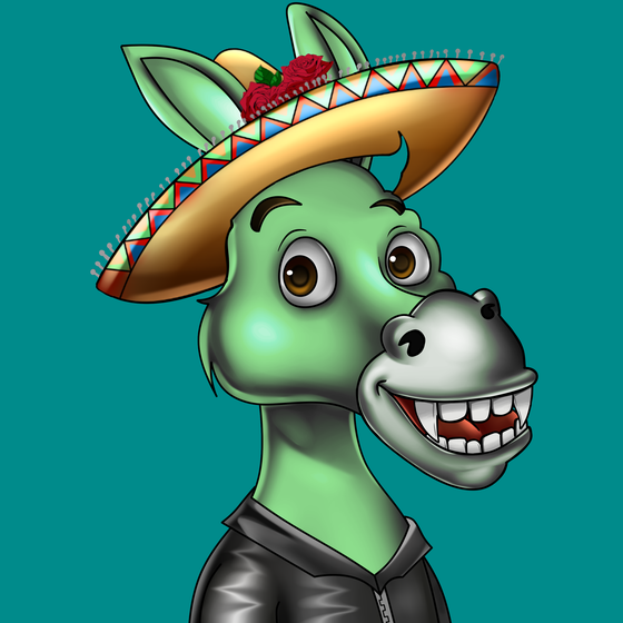 Sombrero Donkey #1734