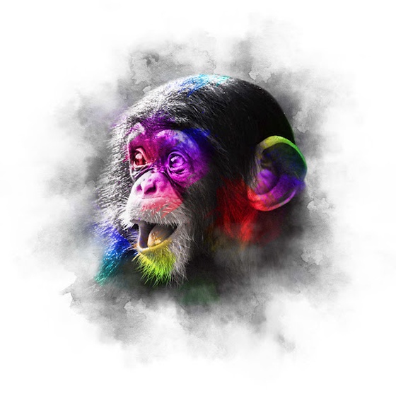 PSYCHEDELIC BABY - CHIMP