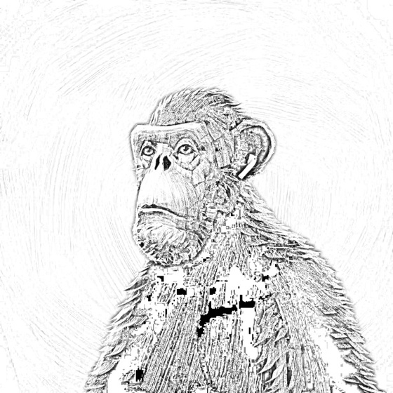 Sketchy Old Ape #274