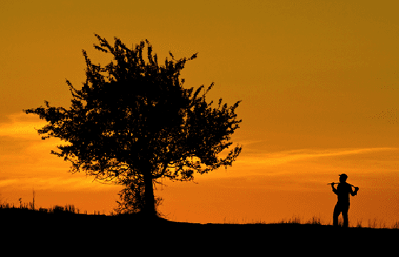 Sunset Stories 12/12