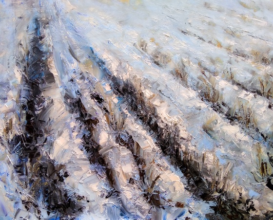 Plowed land under snow