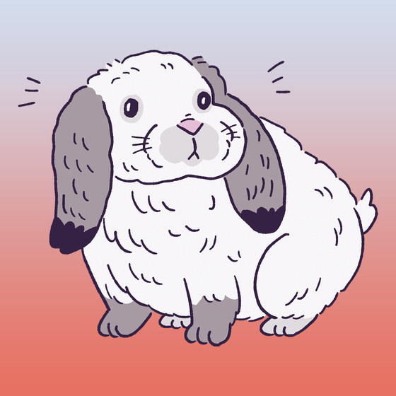 Mini Lop Eared #1312