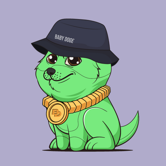 Baby Doge #1205