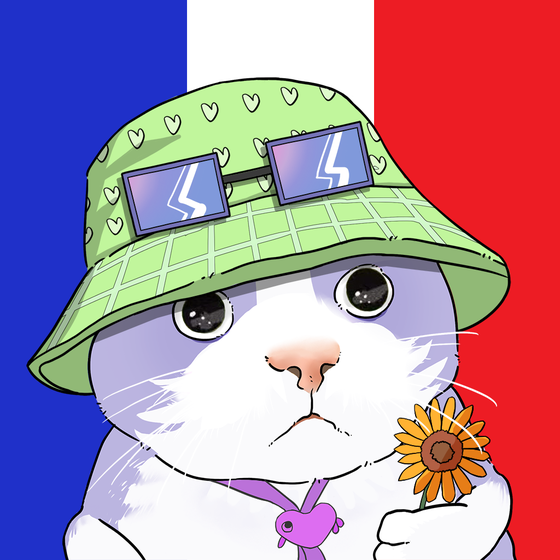 Puzzled cat #3716