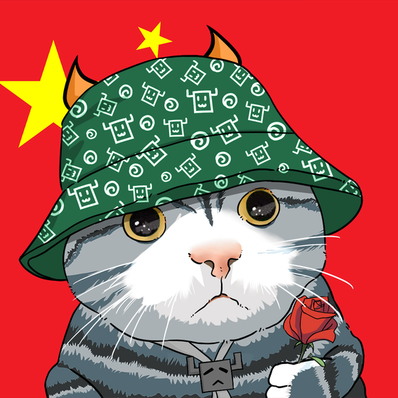 Puzzled cat #2561