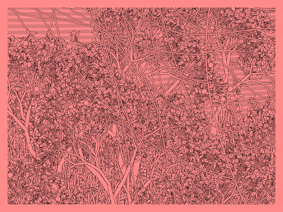 Entangled #327