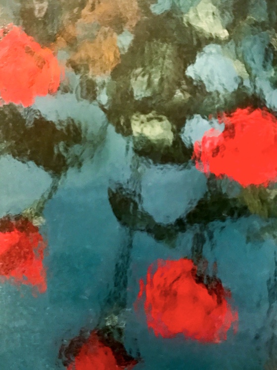 Red Roses