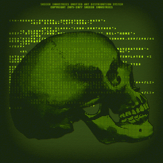 💀12 | CGA SKULL 07 | Human