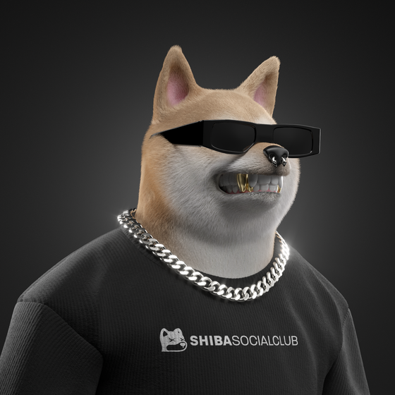 Shiba #7593