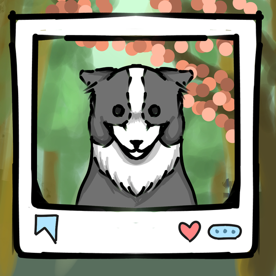 旅する犬 #1085