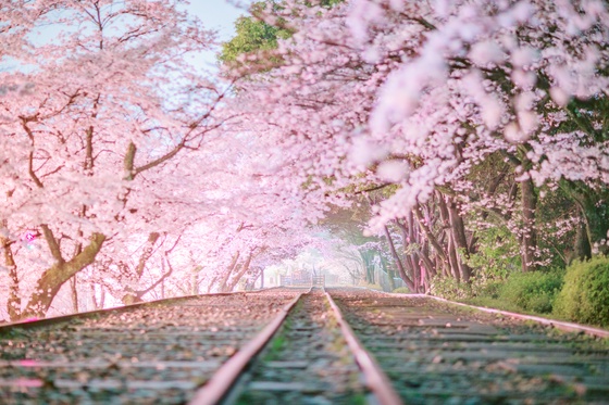 Railroad leading to Shangri-La