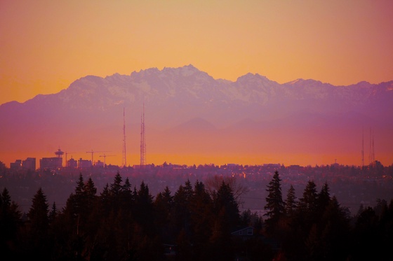 Olympic Mountains with Space Needle & Seattle Skyline (Judy Lindsay - 2021)