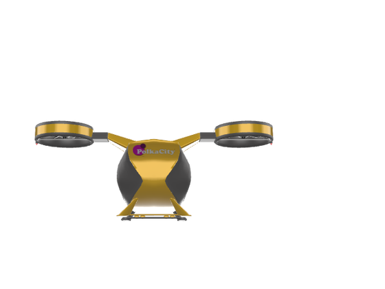 Taxi Drone