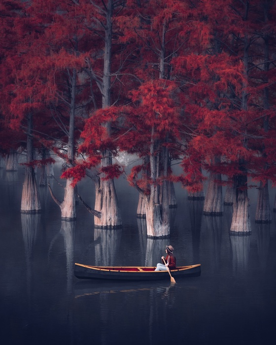The Journey