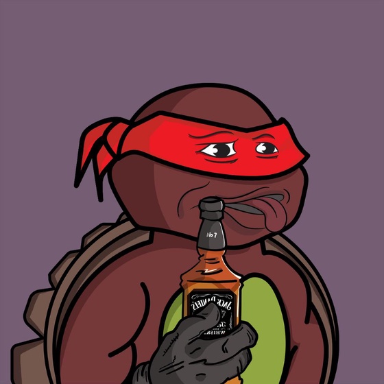 Degen Ninja Turtle #2363