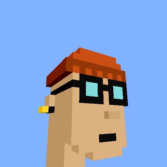 PunkVoxels #2847