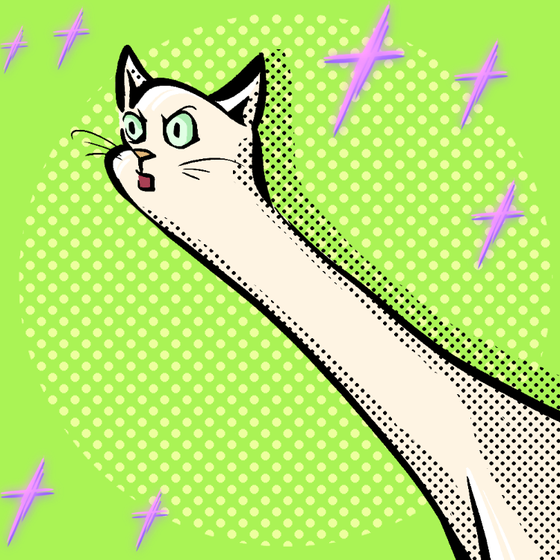 LoooongKitty#2838
