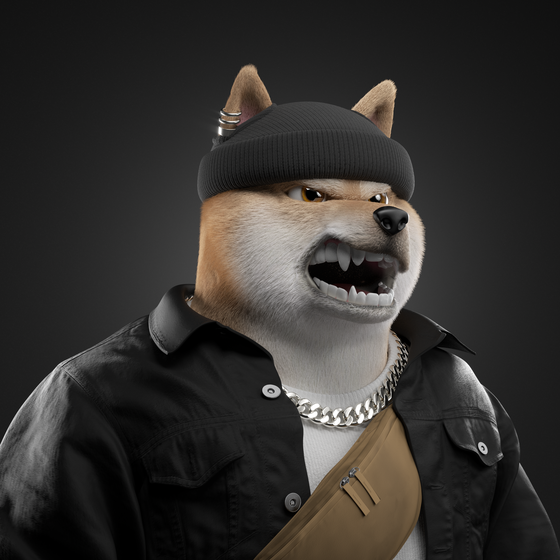 Shiba #2767