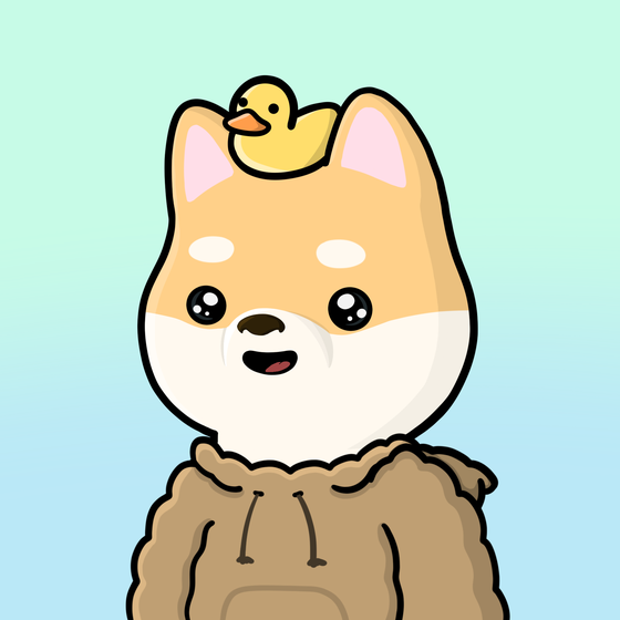 Shibe #4988