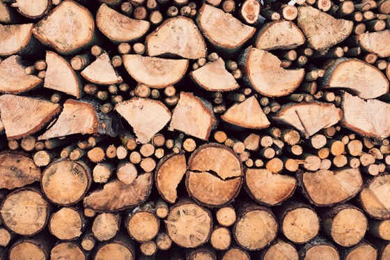 Improved Forest Management Project Demo