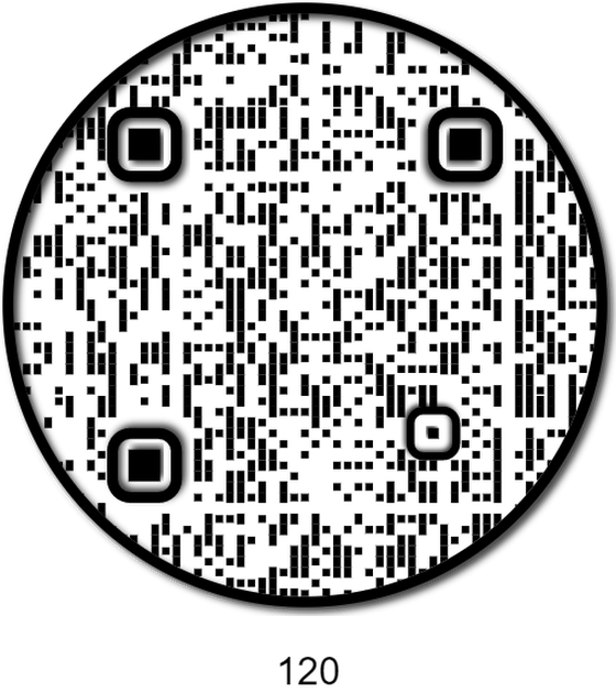 APE QR #120