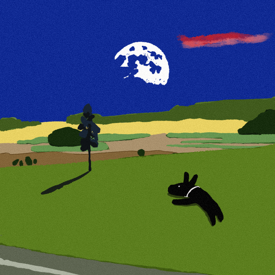 Sky Cloud Mountain Bird #30