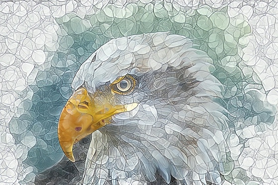 GEO EAGLE